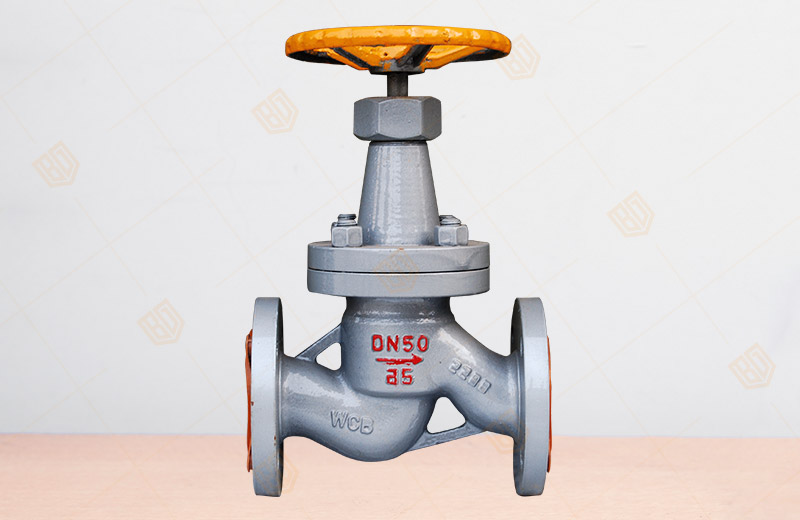 NRS Ammonia Globe Valve