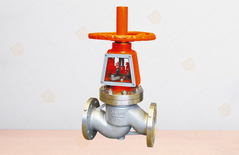 Special Oxygen Globe Valve