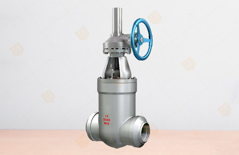 Pound Power Station Gate Valve