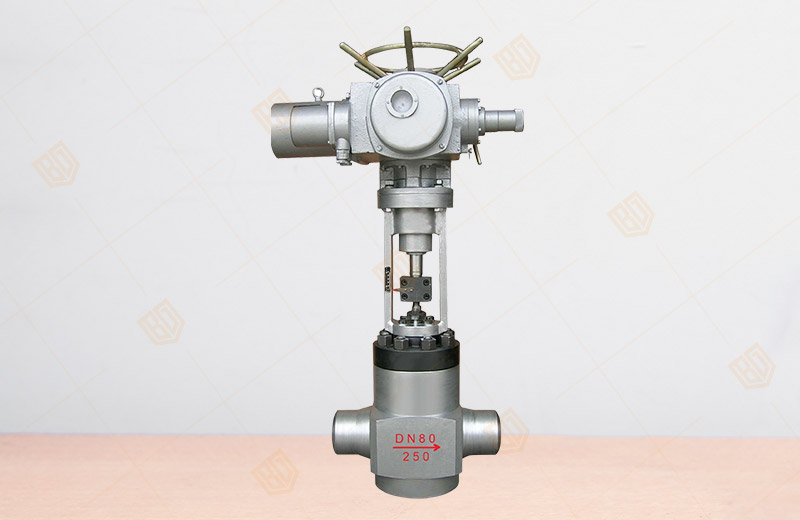 Power Station Globe Valve