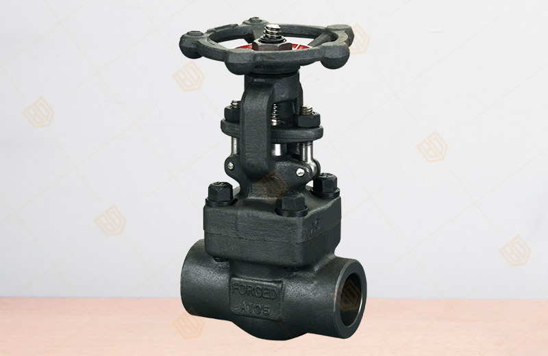 Forged Steel Female Thread, Socket Welded Gate Valve