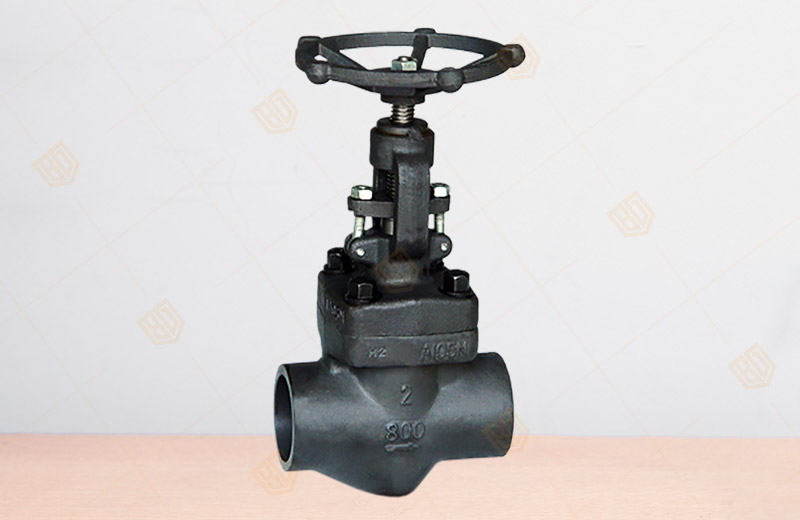 Forged Steel Internal Thread, Socket Welded Globe Valve