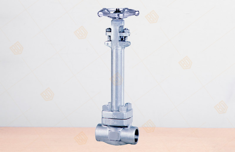 Stainless Steel Cryogenic Gate Valve