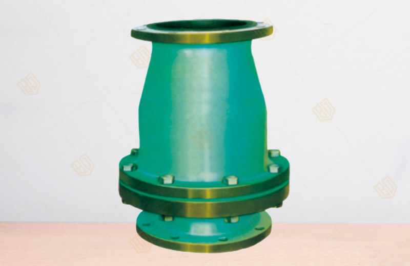 Swing Check Valve