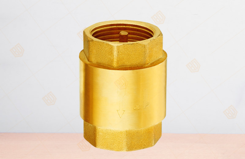 Brass Vertical Check Valve